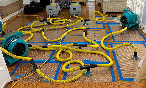 Professional Crawl Space Water Removal technician working in Waterloo, SC